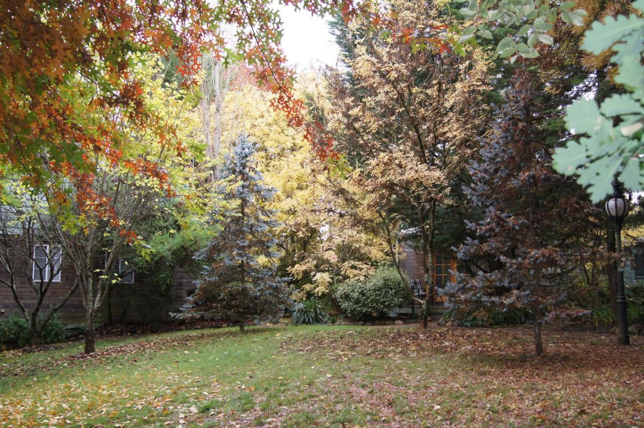 Chalets Lumineux - B&B Bright