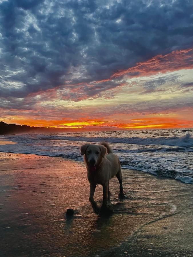 Pangea Lodge with Shared Pool at the Heart of Manzanillo - B&B Manzanillo