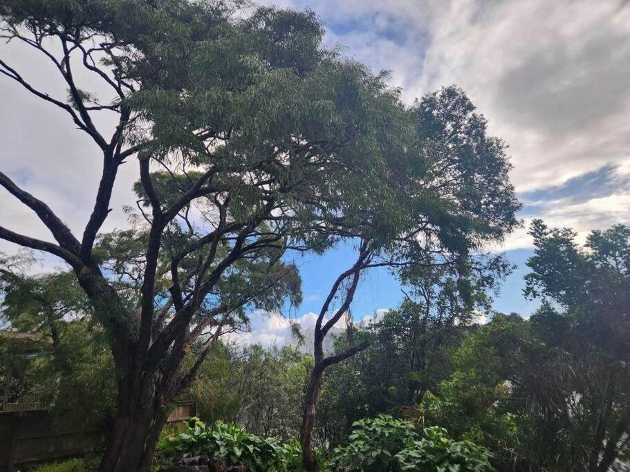 Mt Eden Kingsland At the heart of it all - Ferienwohnung Auckland