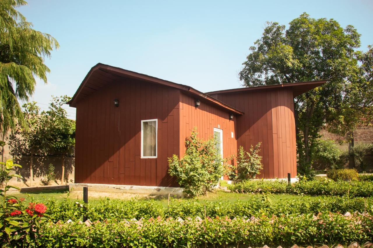 Double Room with Garden View