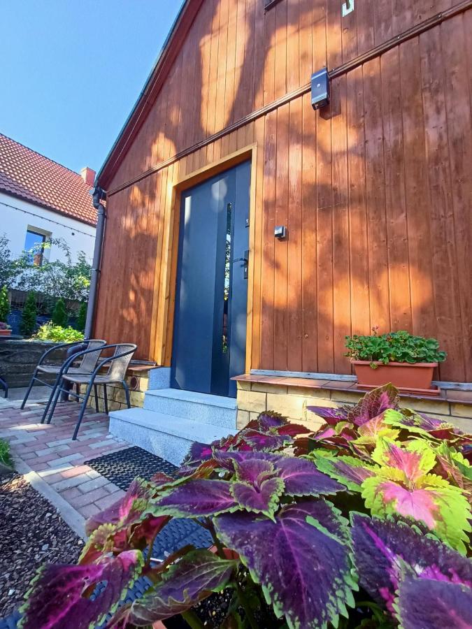 Apartament pod lipami