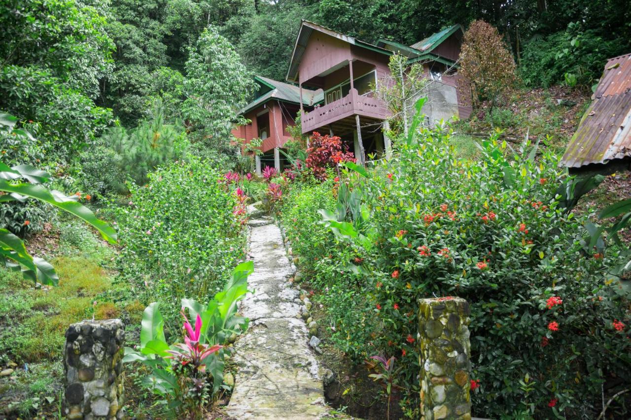 Pak Mus Guest House Ketambe - 0813-7072-1793 - Chambres d’hôtes