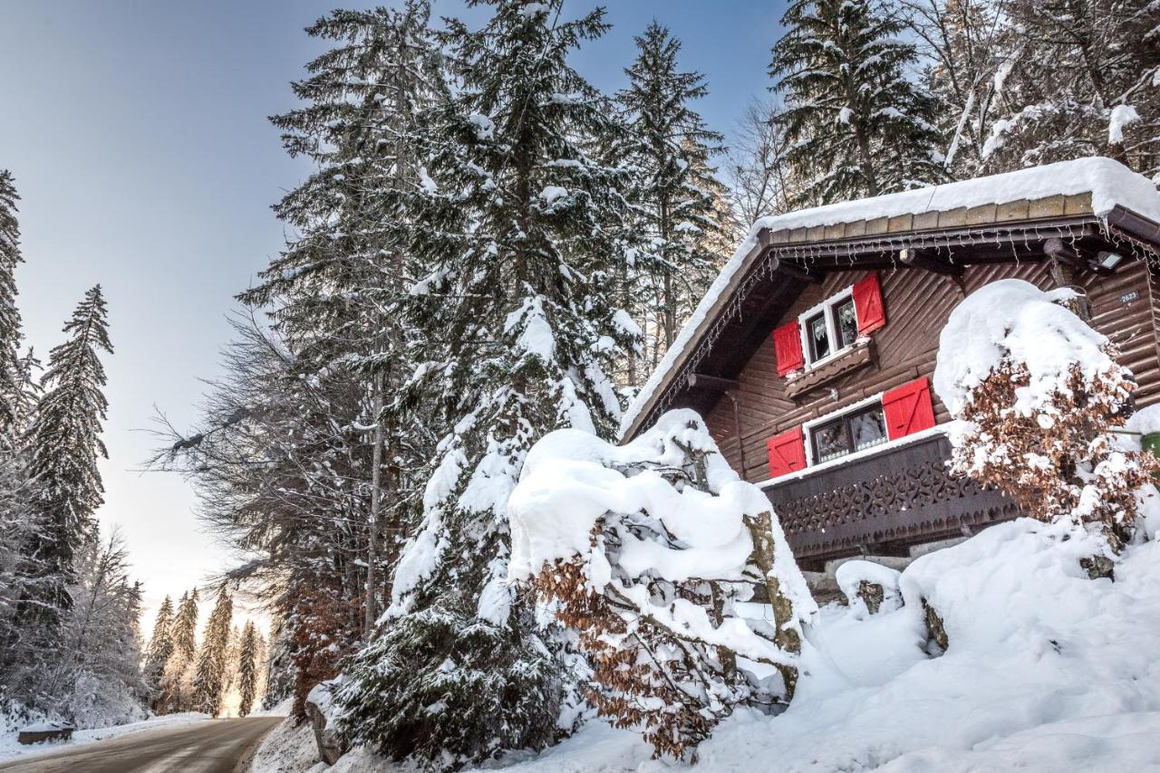 Le Petit Rêve - Lac de Montriond - Ferienwohnung