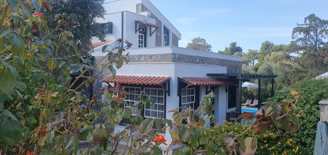 Superior Double or Twin Room with Sea View