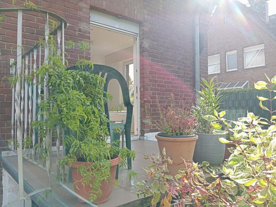 Wohnung im Grünen in Messenähe - Ferienwohnung
