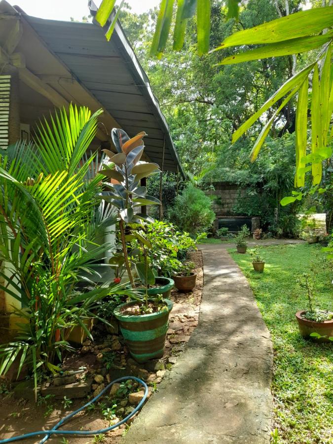 Sigiri Neo Homestay - B&B