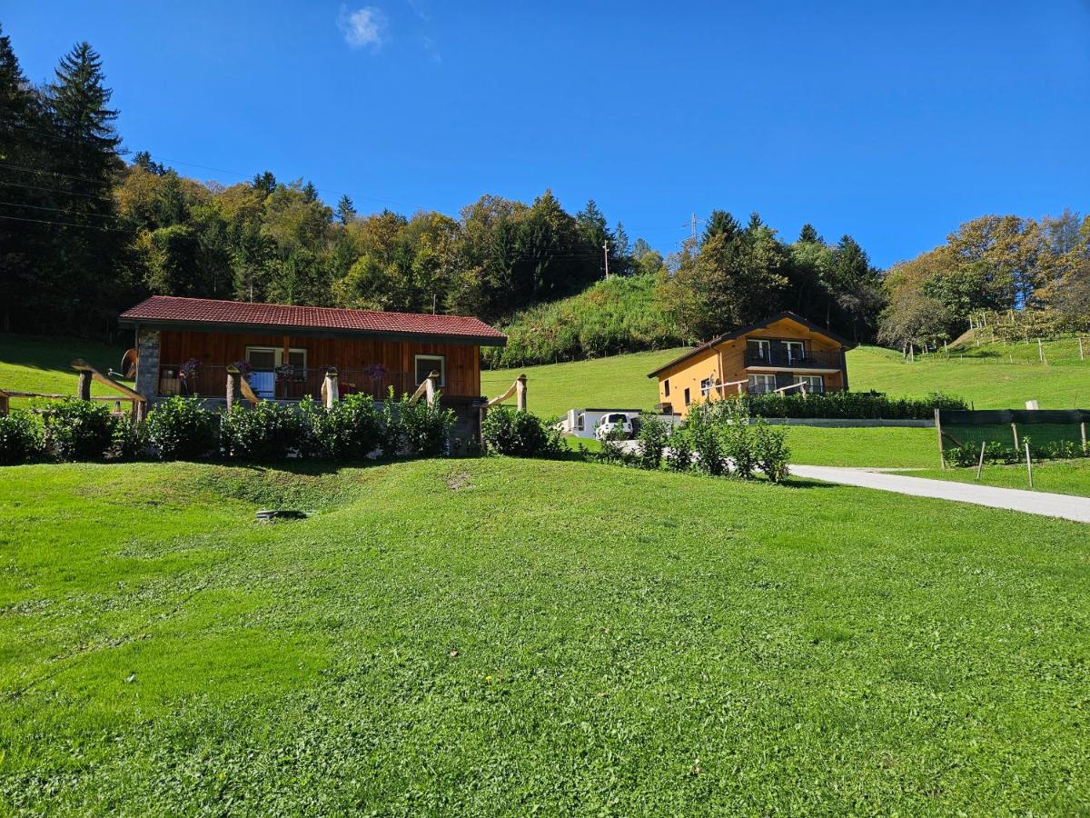 Apartment Hanny - B&B Lasko