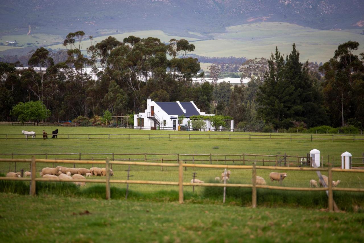 Raptor Rise Farm - Ferienwohnung Tulbagh