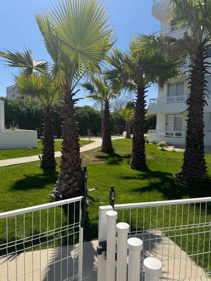 Arriendo Departamento Diario La serena - Chambres d’hôtes La Serena