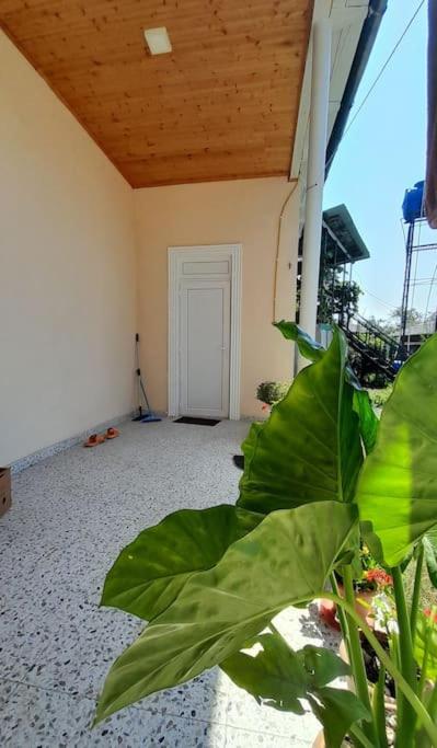 BaBa guesthouse - B&B