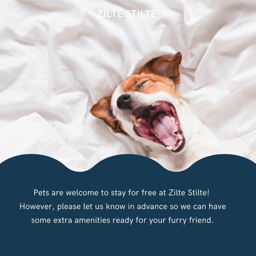 ZILTE STILTE - Bed and Breakfast