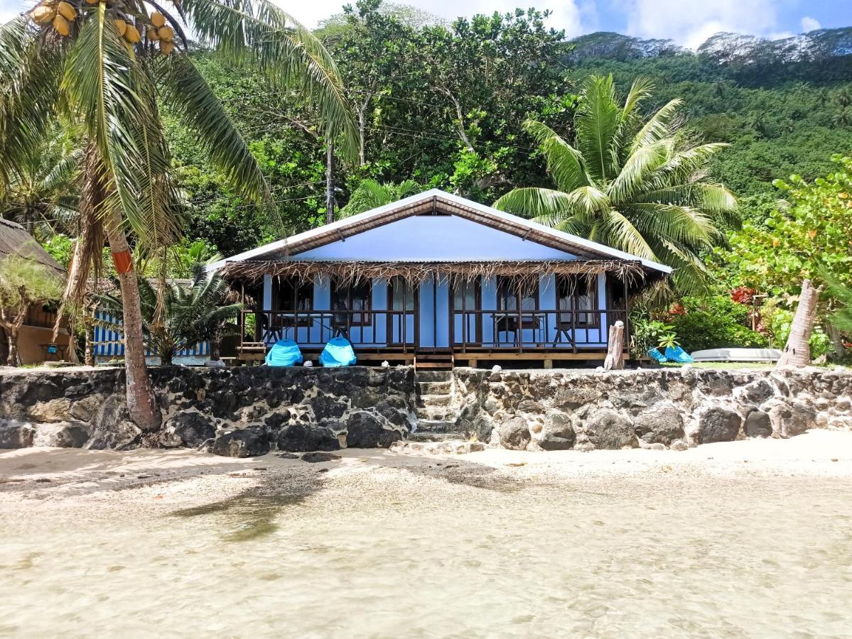 Te Nahe Toetoe - New Look 2025 - Bed and Breakfast