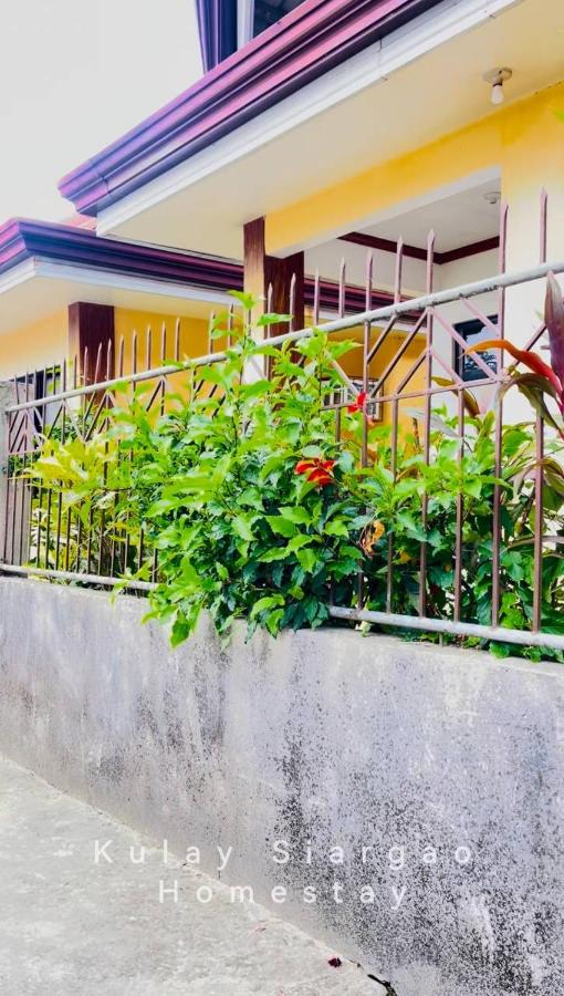 Ameeza Houze Homestay - Siargao - Ferienwohnung