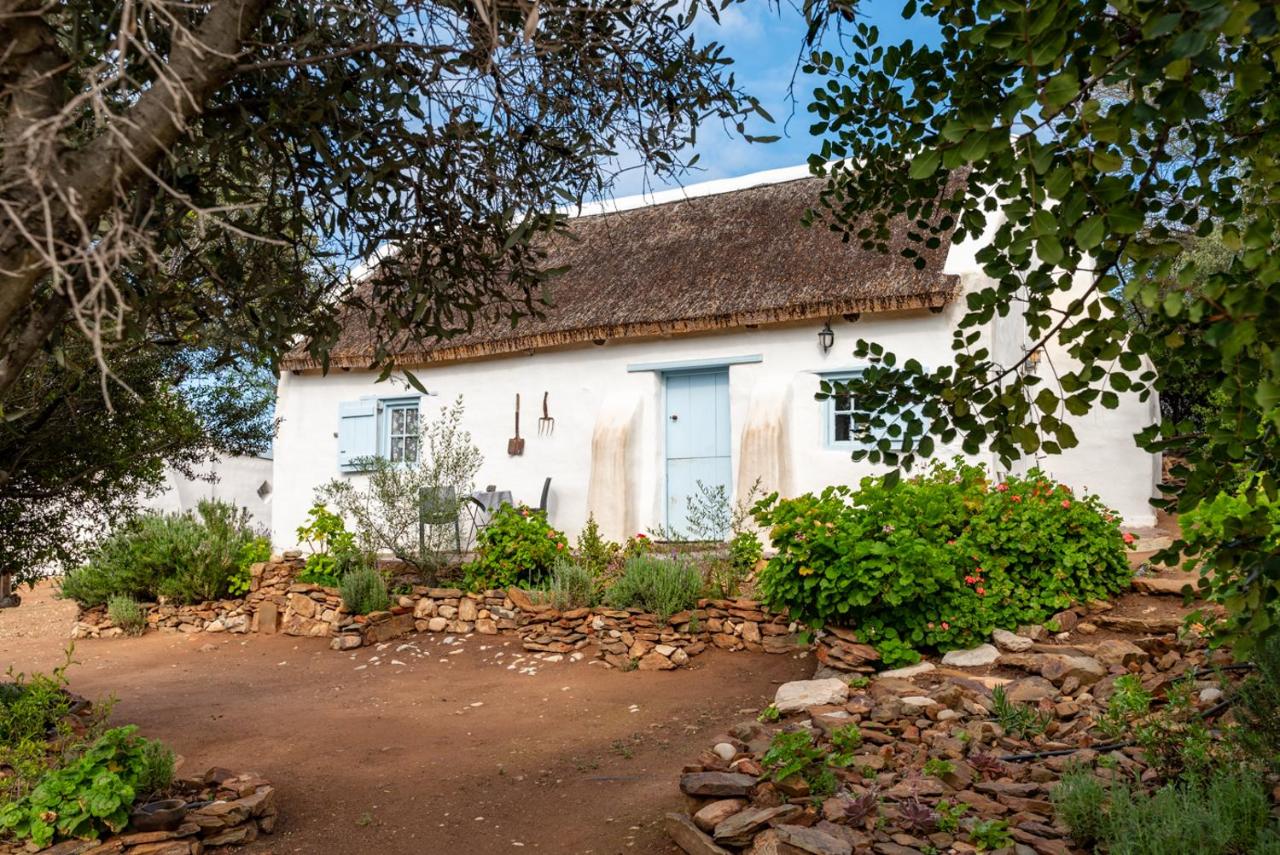 Superior Chalet