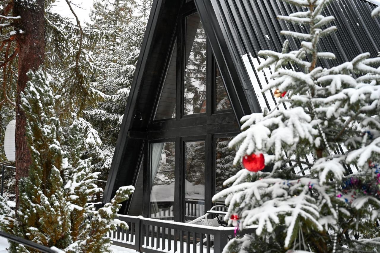 ZlatAir Black Boutique Chalets - Chambres d’hôtes Nova Varoš