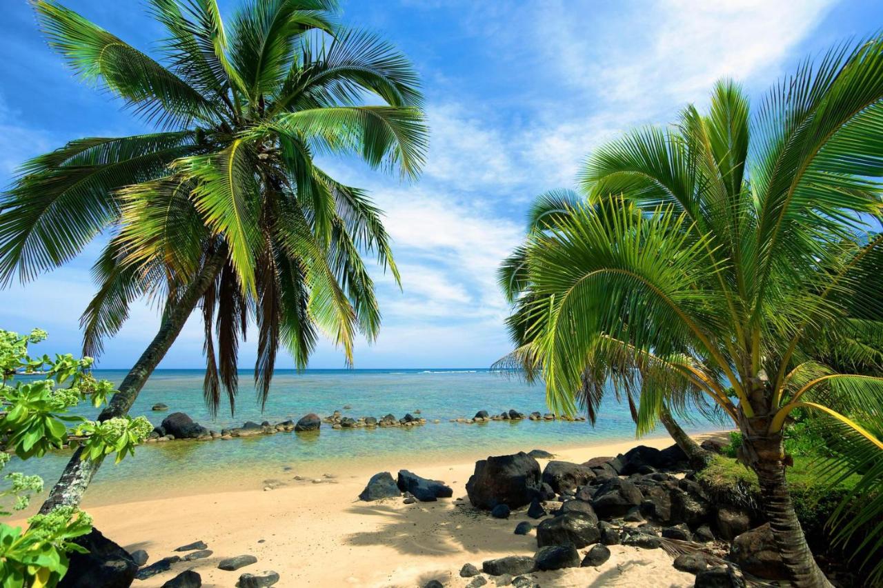 Paniolo 204B - B&B Princeville