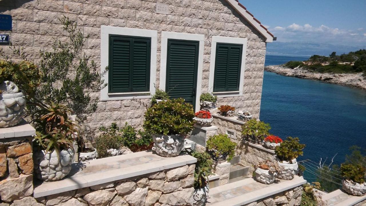 Apartment Nikola - B&B