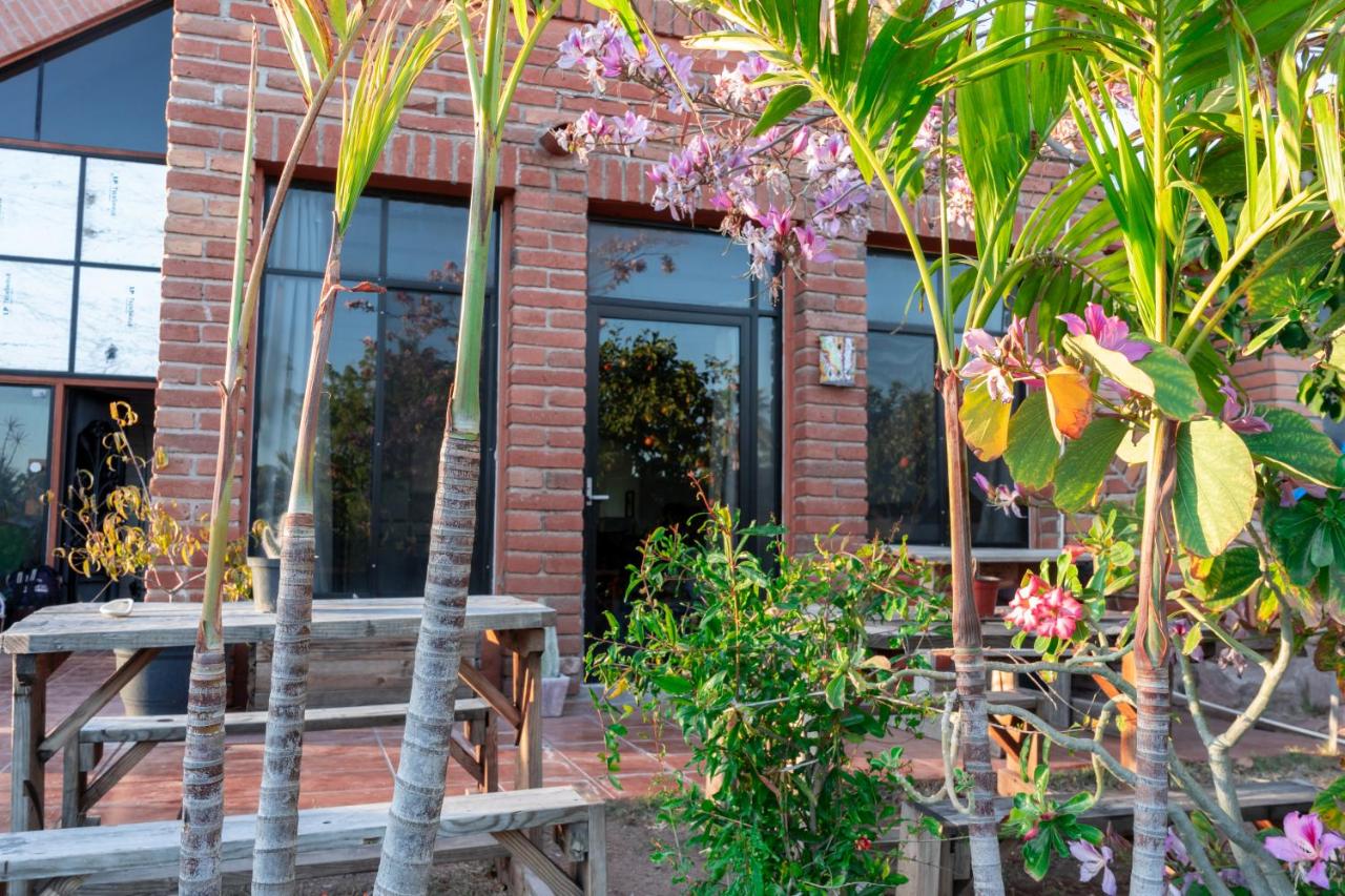 Apartamento Nahual San Carlos - Bed and Breakfast