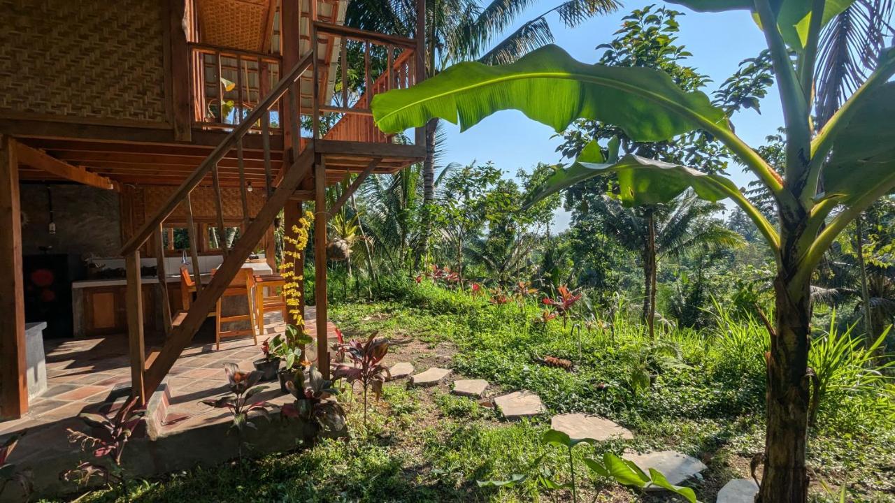 Villa Luna - B&B