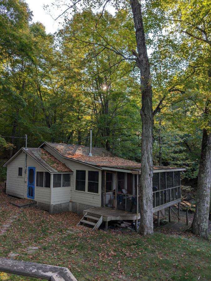 Bobs Lake Cabin - Bed and Breakfast