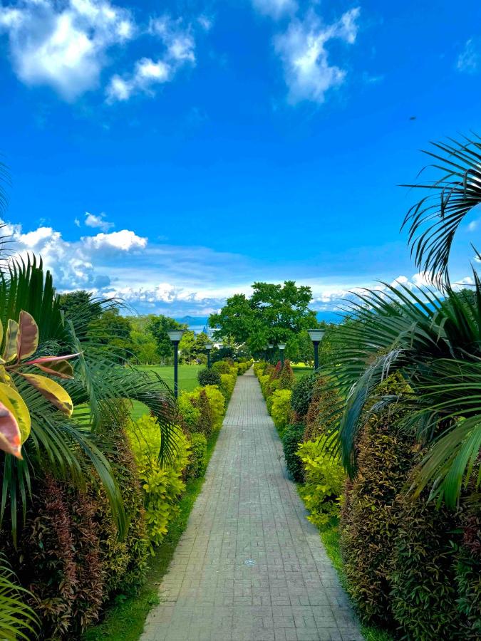 The Vineyard at Tanauan - B&B Tanauan