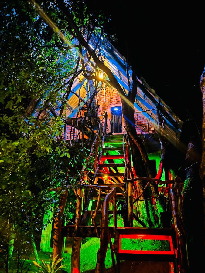 Ali Adi Eco Tree House - Chambres d’hôtes