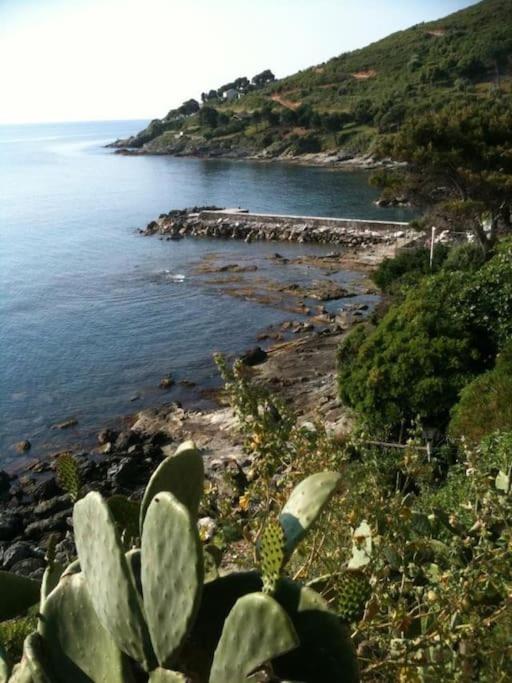 La maison du pêcheur à Porticciolo Cap-Corse - Chambres d’hôtes Porticciolo