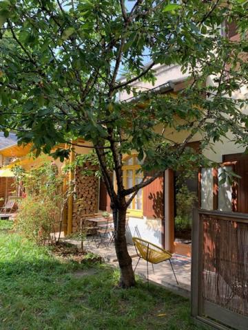 Charmant appartement sur cour, Le Cerisier - Bed and Breakfast Bagnères-de-Bigorre