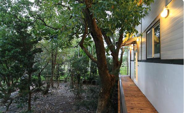 Quadruple Room with Garden View