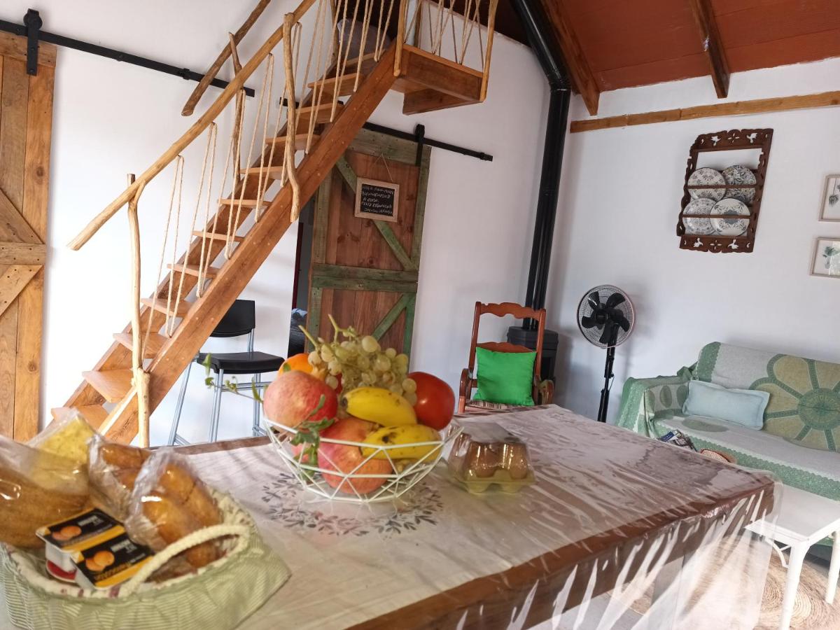 Casa de Campo en La Huerta de Murcia, con Piscina - B&B La Ñora