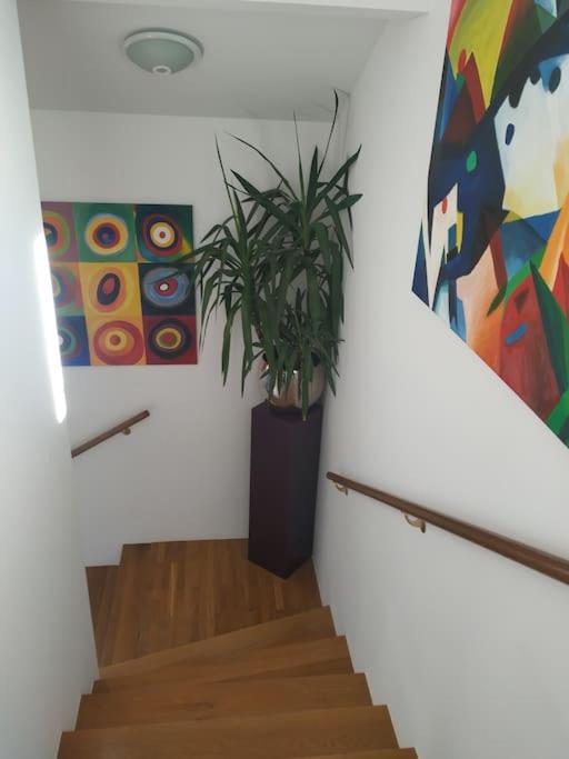 Geräumiges Atelier mit Flair und Bergblick - B&B