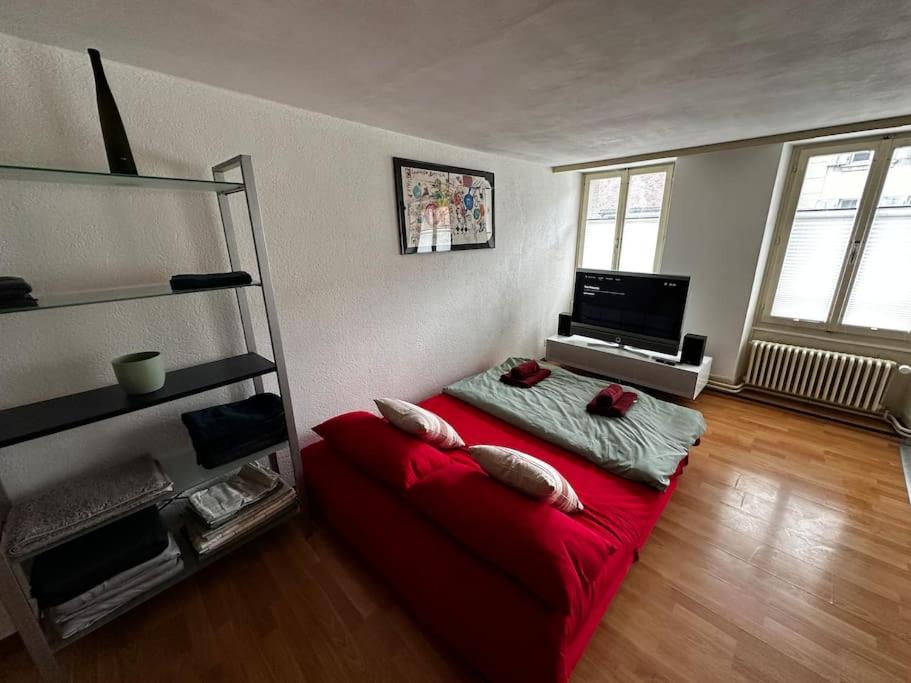Cooles Apartment an der Kathedrale - B&B Friburgo