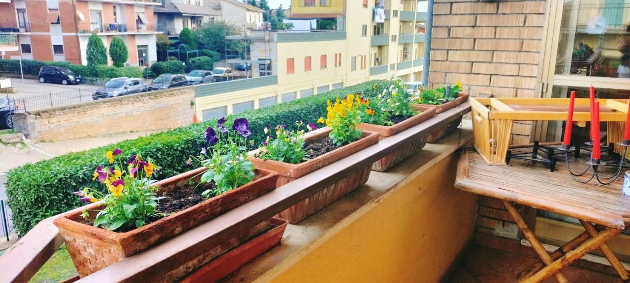 La Casita b&b - B&B Bagnoregio
