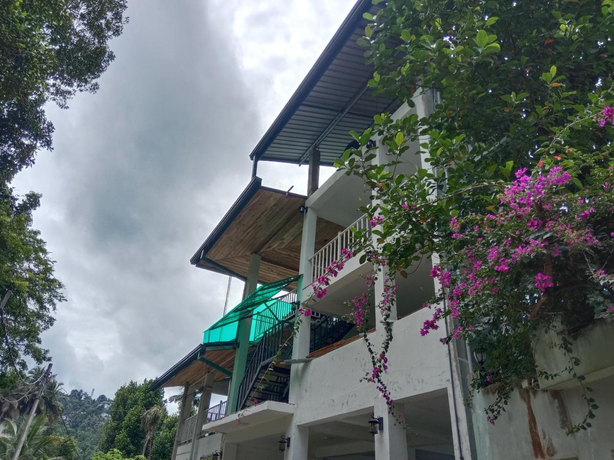 Lion Guest House - B&B