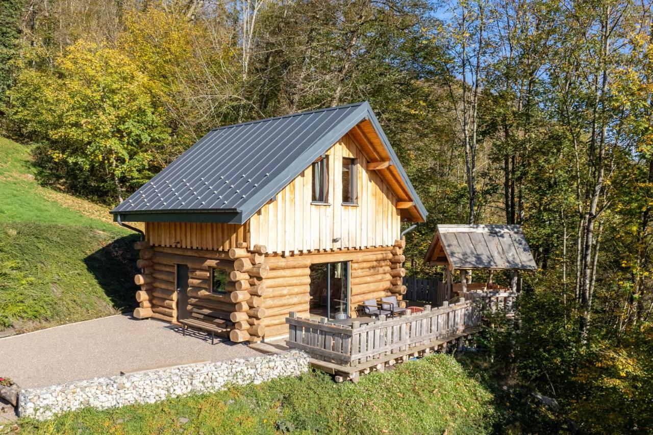 Chalet Chataigne - Magnifique vue montagne - Bed and Breakfast