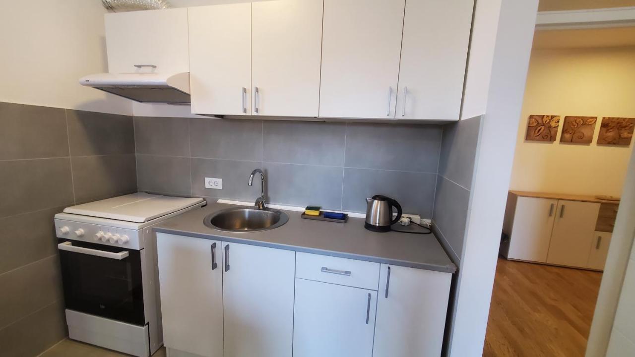 Center & River Park View Guesthouse - B&B Pančevo