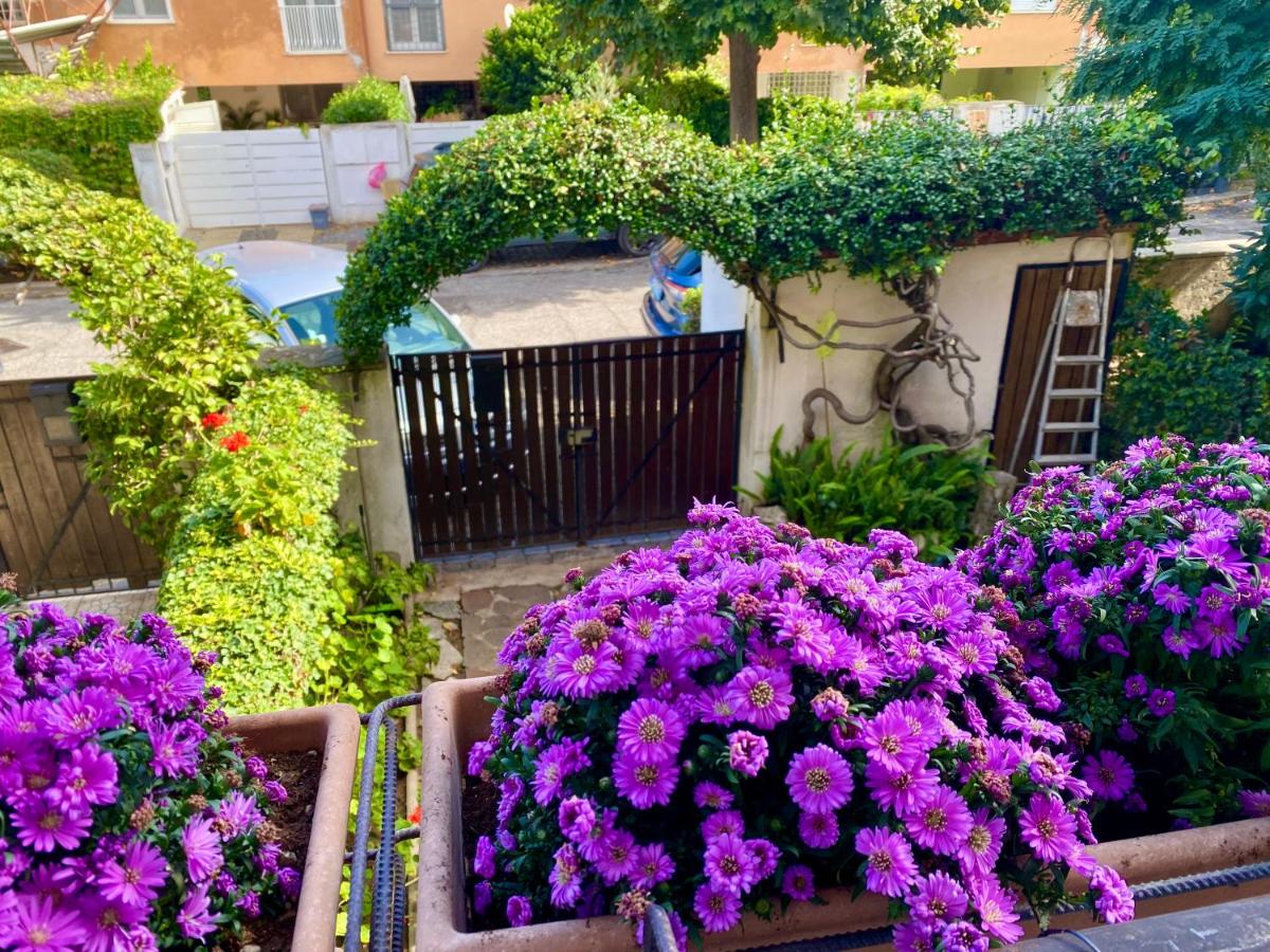 Charming house Rome - B&B