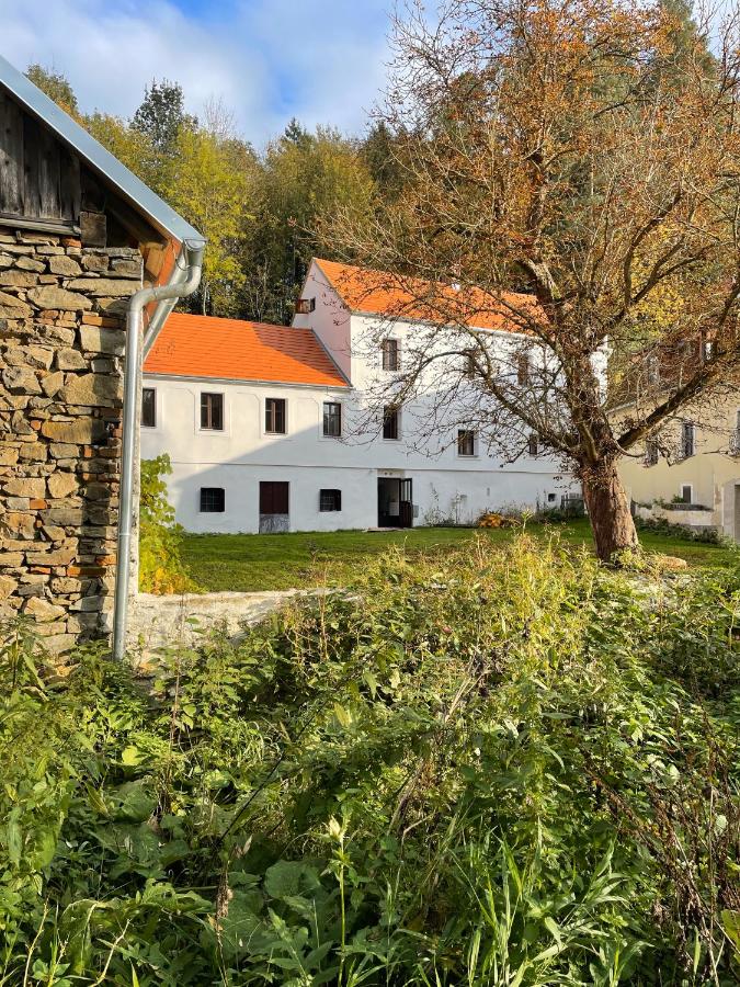 Neu renovierte Mühle, Einzellage im Waldviertel - B&B