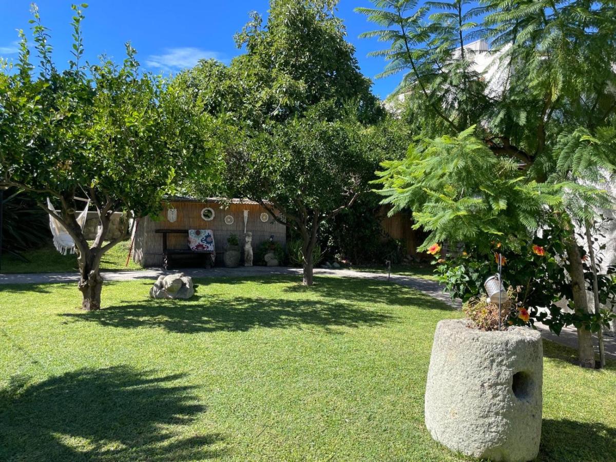 Garden apartments Ischia super centrale - B&B