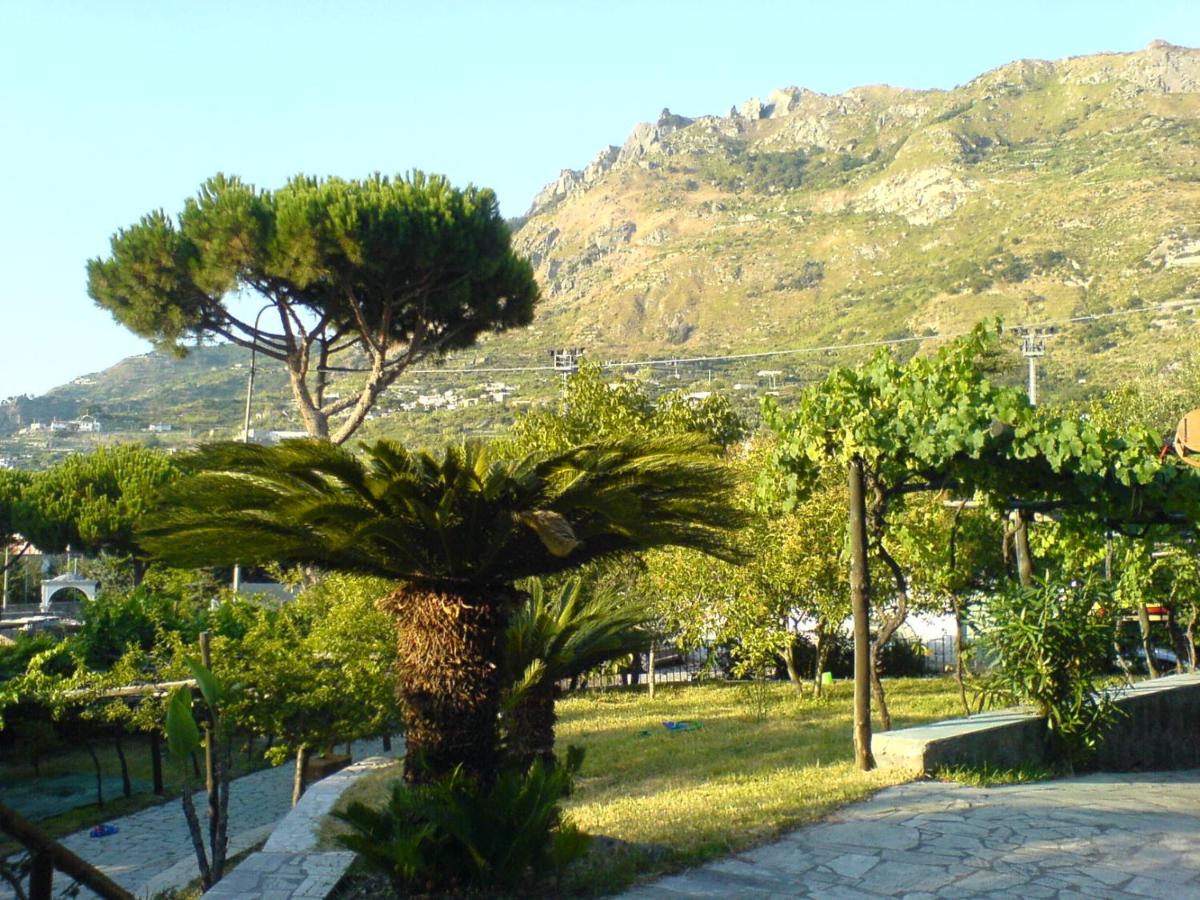 Villa Angelo - Ferienwohnung Ischia