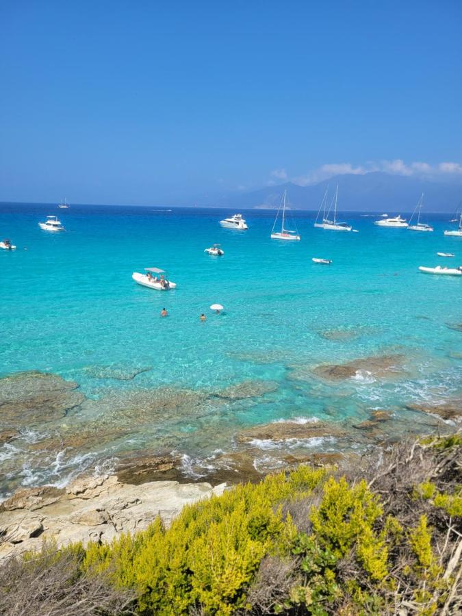 New Ô Cosy T2 - Bastia - B&B