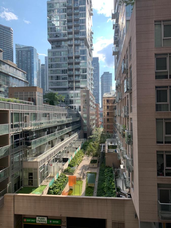Boutique Suite of Downtown Toronto - B&B Toronto