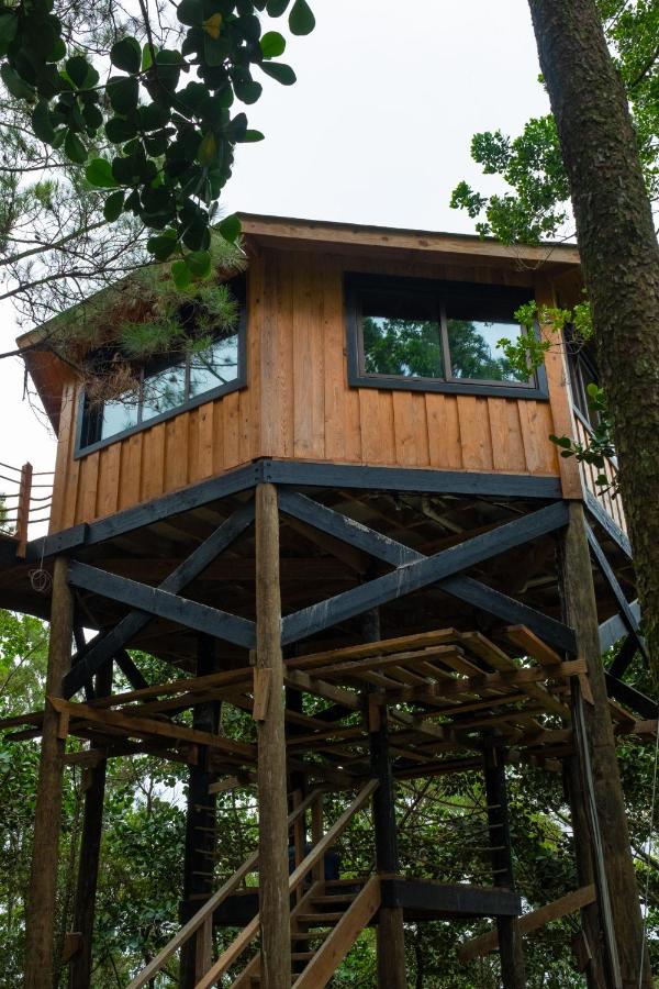Treehouse Villa