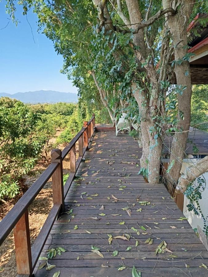 Napahong forest camp - B&B