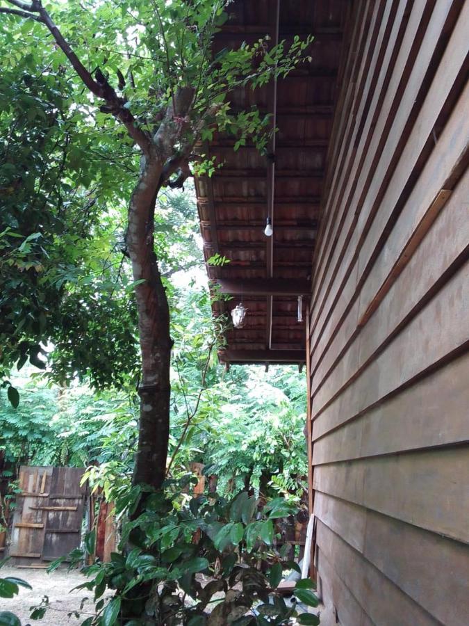 The Cinnamon Farm Wooden Cabana Unawatuna - B&B
