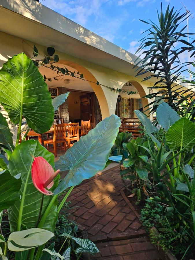 Kiwavi Home - B&B Moshi