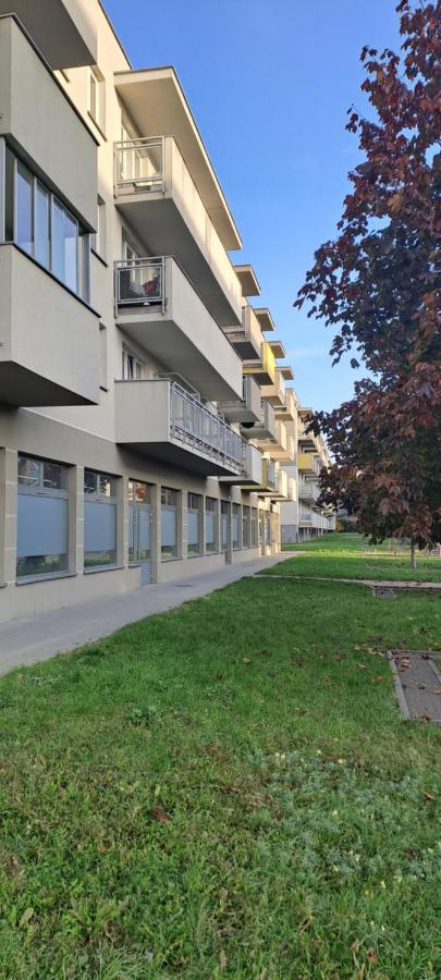 Apartament Blue - B&B Płock