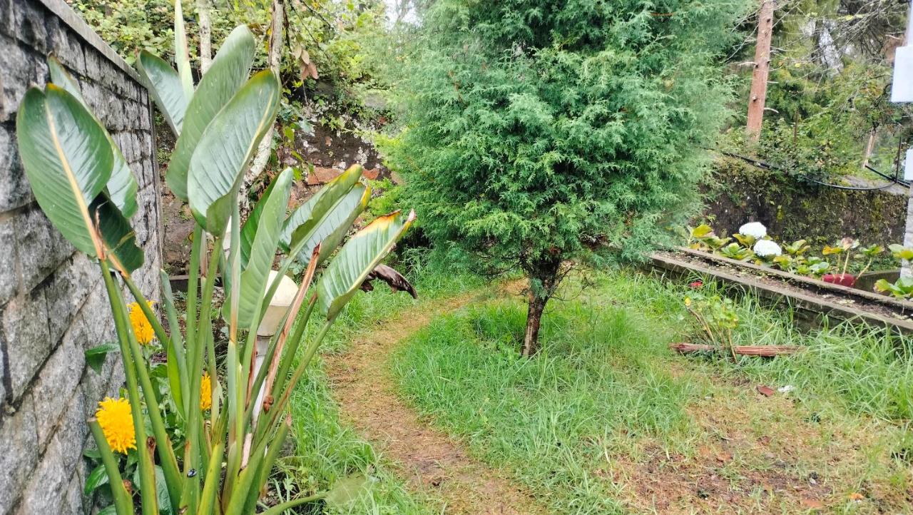 Kodai King Suite - B&B