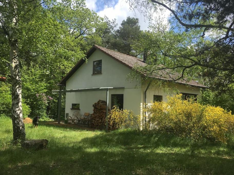 Ferienhaus im Wald an der Weinstrasse - B&B