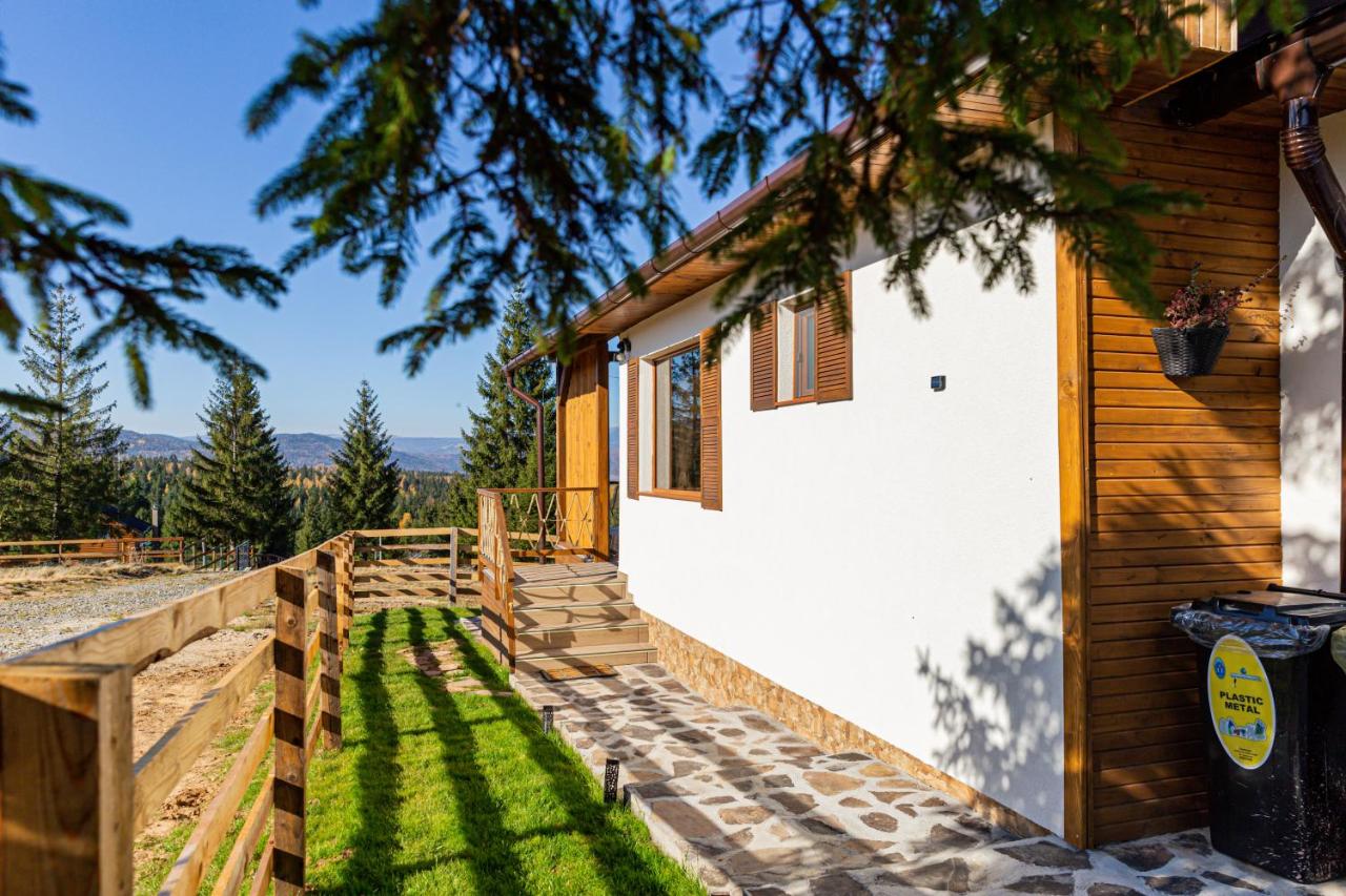 Cozy Living - Chambres d’hôtes Dealu Negru